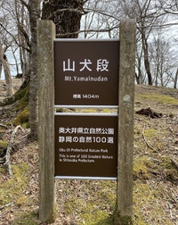 悩ましいお天気