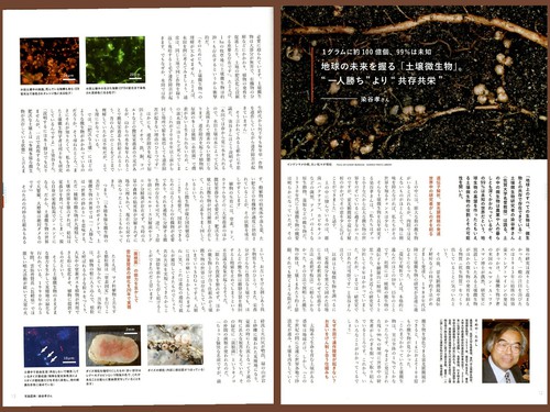 ①清水市民活動センター15周年記念事業「市民活動FESTA2021」、②417号発売中 ①清水市民活動センター15周年記念事業「市民活動FESTA2021」、②417号発売中