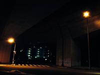 5月に