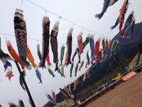 富士山こどもの国
