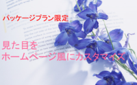HP型限定テンプレートの設定