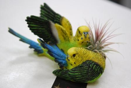 トカゲ君。