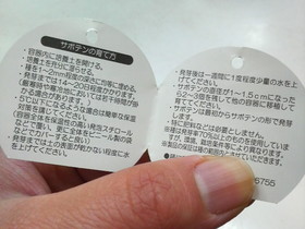 これがサボテンの種だ！