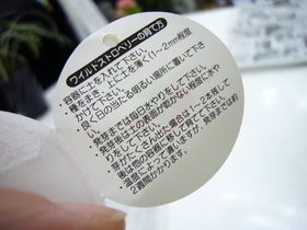 ワイルドストロベリーを育ててみよー