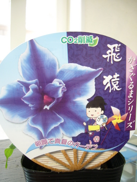 【限定品】『飛猿』とくれば？