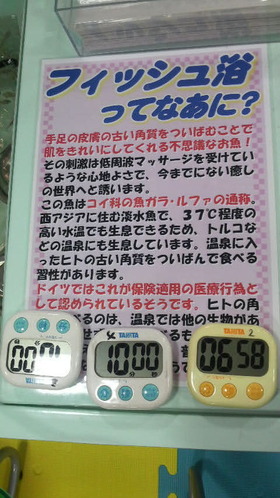 続・フィッシュ足浴