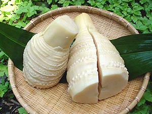 掘りたて茹でたてタケノコ