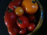 gyutto farm♪おいしいお野菜をヨガスタジオで♡