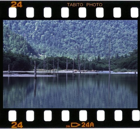 上高地散歩（５）　田代池から大正池まで　過去の旅行写真