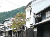 嵐山から嵯峨鳥居本まで　　京都旅行4