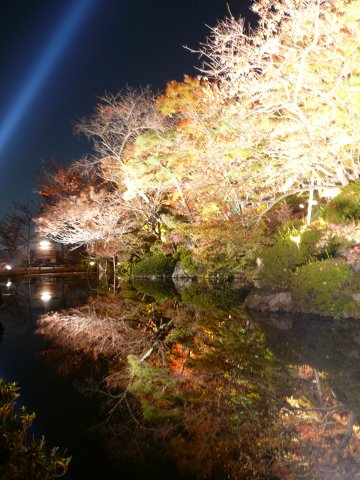 清水寺の紅葉　ライトアップ