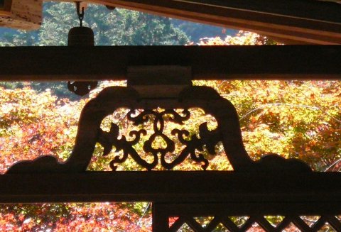 京都　高山寺の紅葉