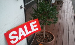 ＳＡＬＥ