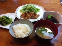 栄養学の勉強アウトプットとおひる（jun)
