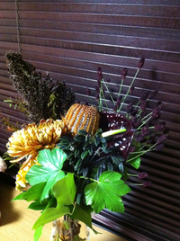 お花元気だよ♪