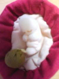 かわいい 2008/08/06 18:33:56