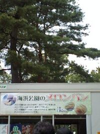 アトレーで国営ひたち海浜公園②