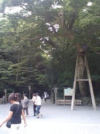 アトレーで伊勢志摩　伊勢神宮