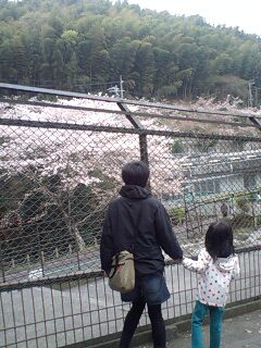 アトレーで日本平動物園