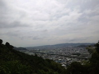 裏山ウォーキング