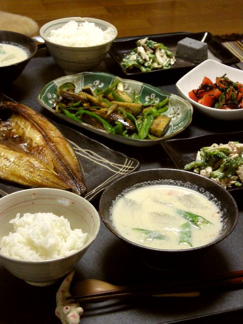 今日は寒かったな～