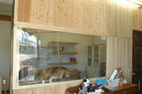 完成CatRoom（＾＾）