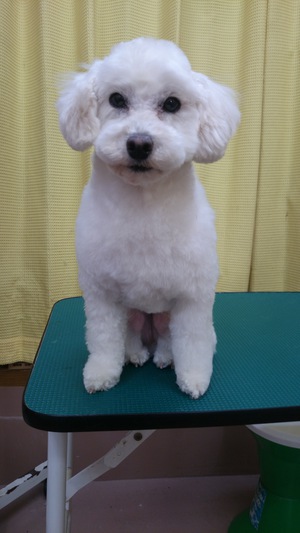 美容☆～