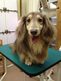 本日のお客様！！