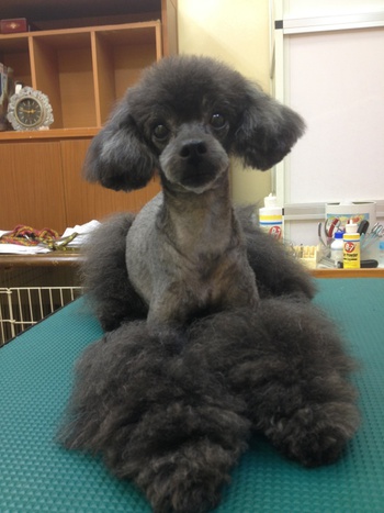 本日のお客様！！
