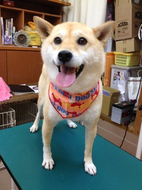 １２月分一挙公開☆～