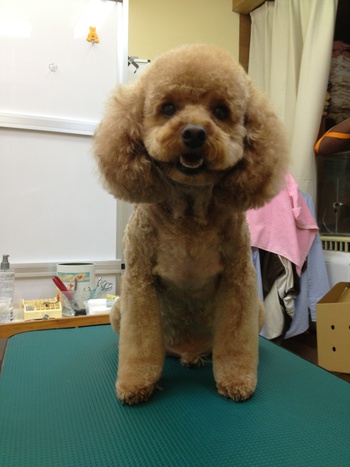 美容だよ～☆