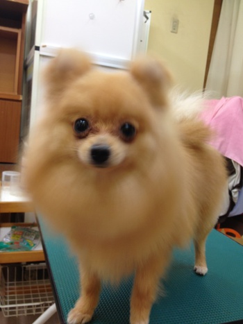 美容～美容☆