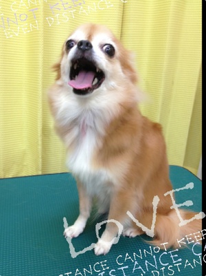 本日の美容☆～