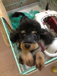 本日のお客様！！
