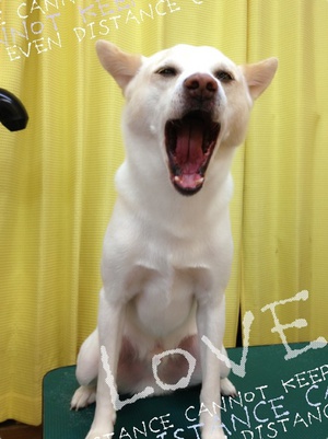本日の美容☆～