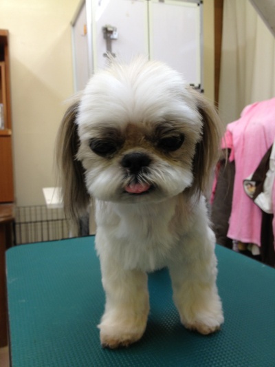 本日のお客様！！