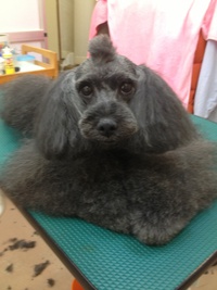 本日のお客様！！
