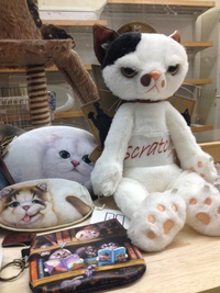 看板猫ミルクに似たぬいぐるみ☆