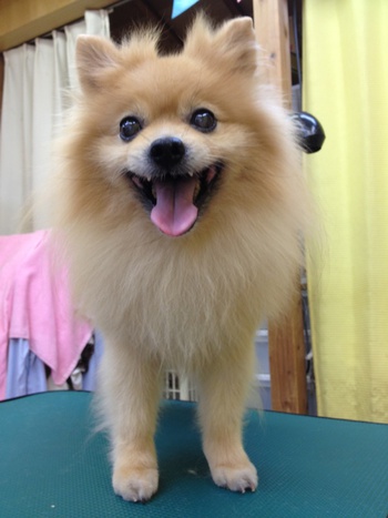 美容☆～☆