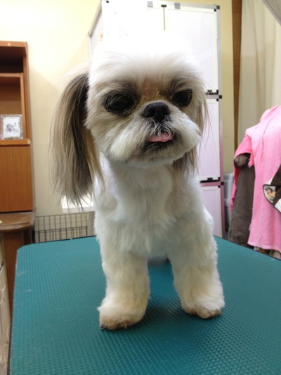 本日のお客様！！