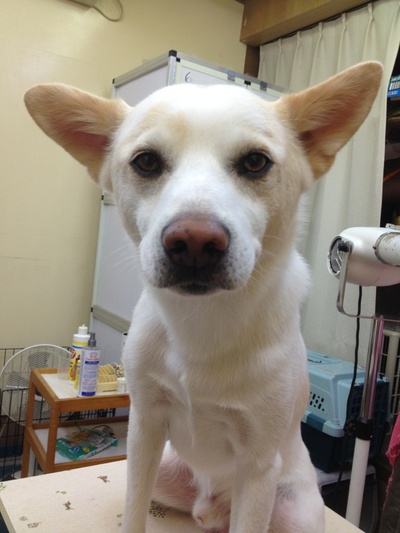 今日の美容！！