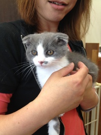 猫カフェ？遊びに来たよ♡