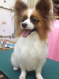 本日のお客様！！
