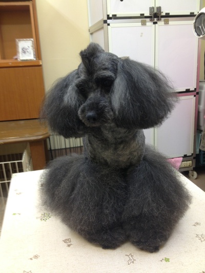 今日のお客さま！！