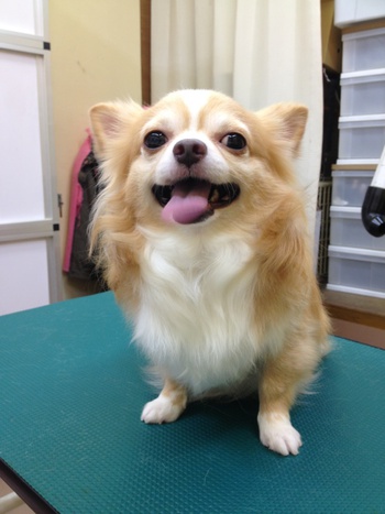 美容～☆