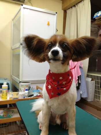 美容❤