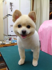 ２６日２７日のお客様♡