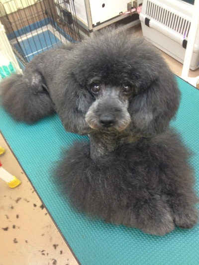 本日の美容！！