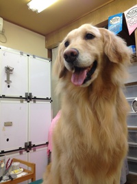 本日のお客様！！