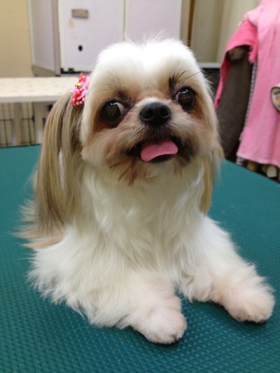 本日のお客様！！